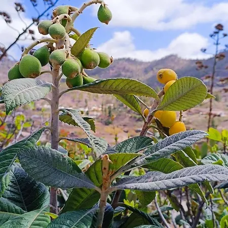 Vista Paraiso De Chira San Bartolome de Tirajana (Gran Canaria)